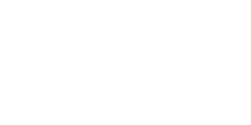 swintt-logo-white